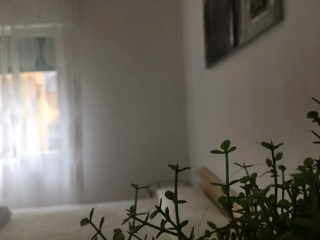 Panzió B&B Zerbini Bologna Olaszország